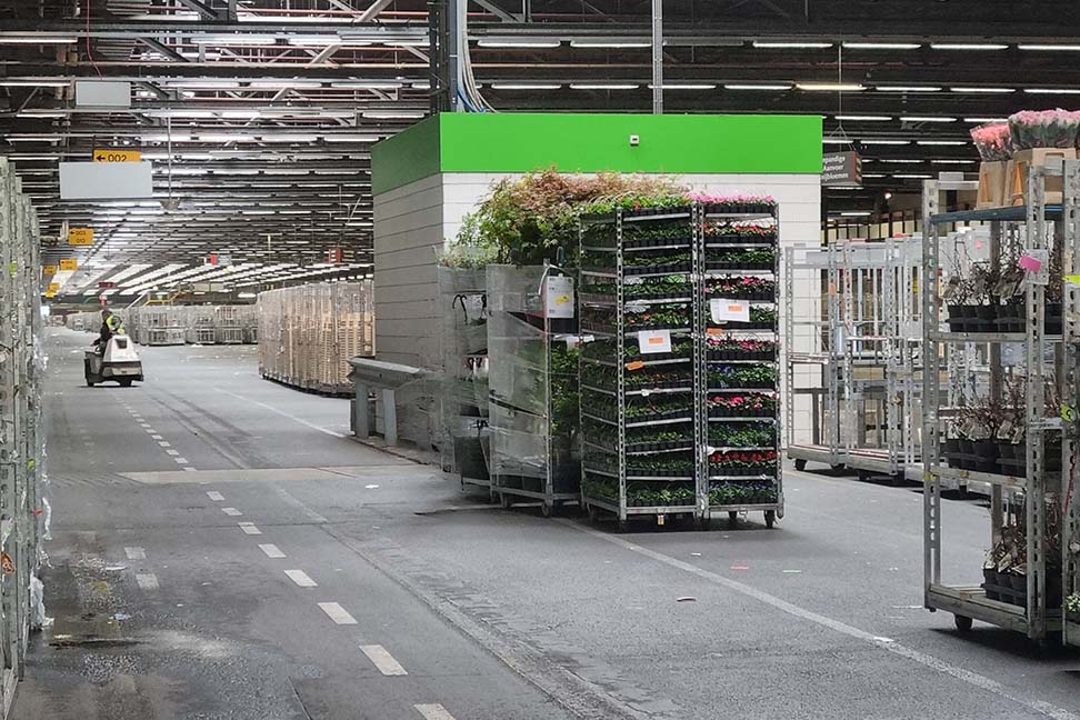 Royal FloraHolland Extends Partnership with Veko Lightsystems